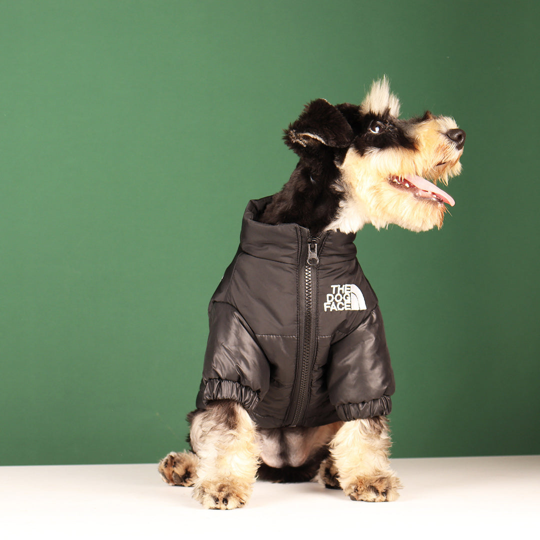 THE DOG FACE - Hundejacke aus Baumwolle